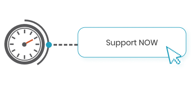 Roadmap & Strategies - AYCE IT